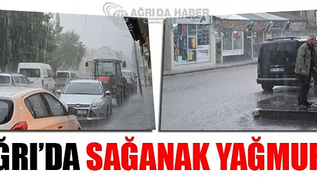 Ağrı'da sağanak Yağmur Hayatı Olumsuz Etkiledi