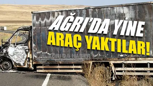 Ağrı'da yol kesen PKK mensupları, Araç Yaktılar