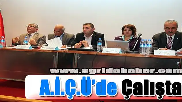 AĞRI İBRAHİM ÇEÇEN ÜNİVERSİTESİNDE ENGELLİLERDE ERİŞEBİLİRLİK VE ULAŞABİLİRLİK ÇALIŞTAYI