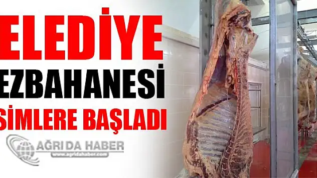 Ağrı Belediyesi Mazbahana'sı Kesime Başladı
