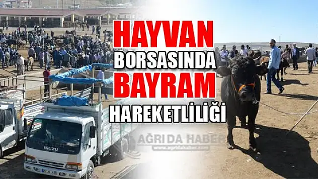 Ağrı Hayvan Borsası'nda Kurban Bayramı hareketliliği