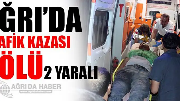 Ağrı'da trafik kazası: 1 ölü, 2 yaralı