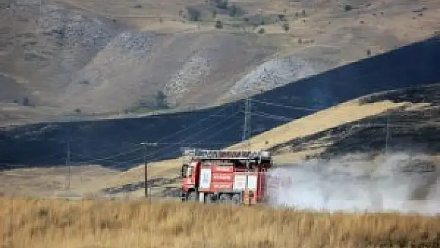 Aşkale'de ot yangını