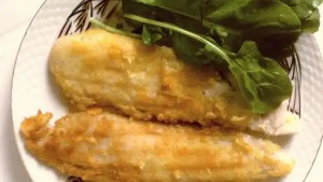 Dil Balığı Tavası