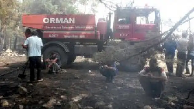 Sarıkamış'ta orman yangınlarına karşı uyarı