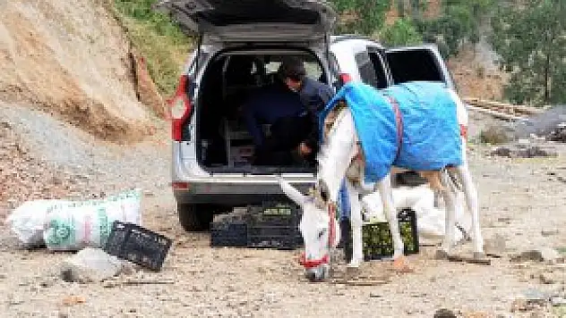 Hizan'da köylülerin yol talebi