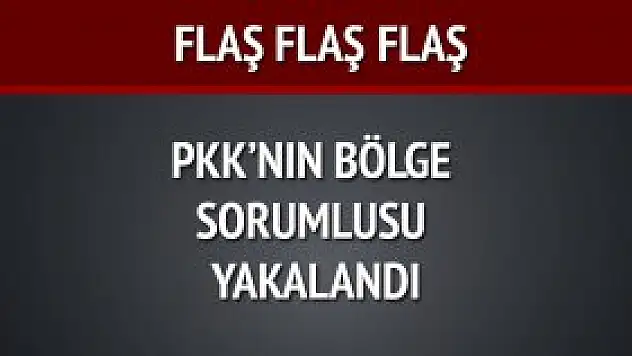Flaş..Flaş...PKK'nın Bölge Sorumlusu Yakalandı