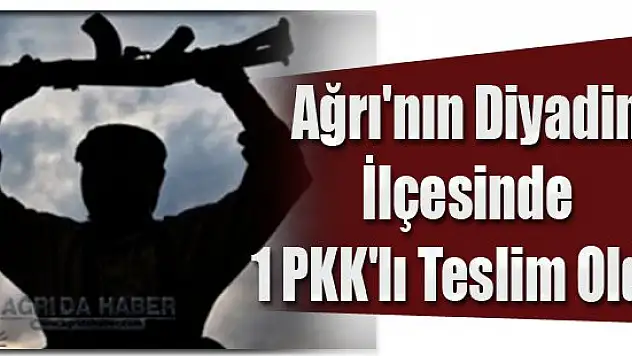 Ağrı'nın Diyadin İlçesinde 1 PKK'lı Teslim Oldu!