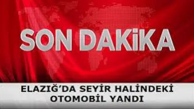 Elazığ'da seyir halindeki otomobil yandı