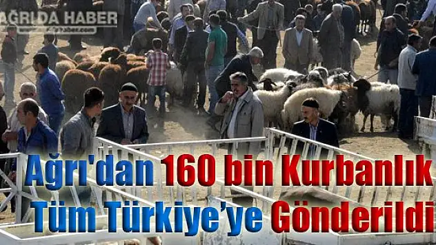 Ağrı'dan Türkiye'nin Dört Bir Yanına 160 bin kurbanlık!