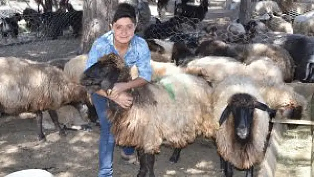 Tatvanlı besiciler, kurbanlıklara alıcı bulamıyor