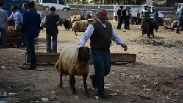 Kurban Bayramı'na doğru