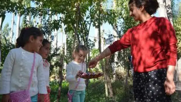 Yüksekov'da Kurban Bayramı kutlanıyor