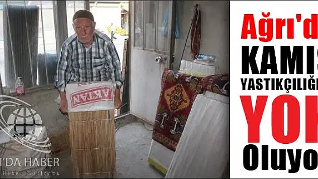 AĞRIDA KAMIŞ YASTIKÇILIĞI YOK OLUYOR