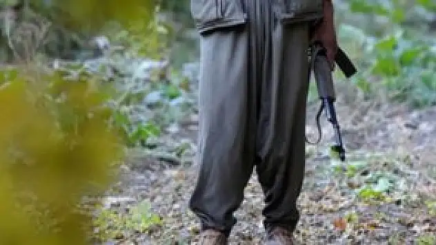 Ağrı Diyadin Jandarma Karakoluna 2 PKK Mensubu teslim oldu