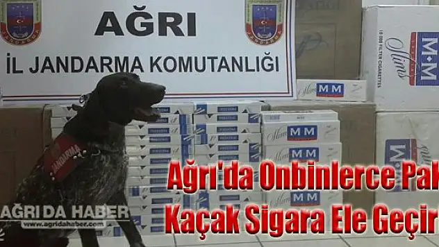 Ağrı'da Onbinlerce paket kaçak sigara ele geçirildi