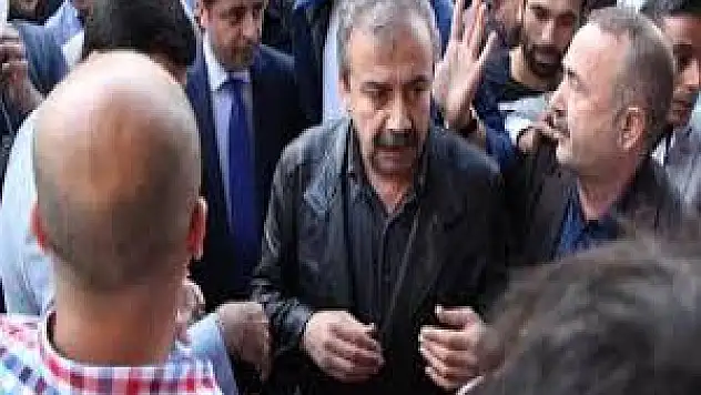 Sırrı Süreyya Önder polisi tartakladı