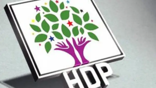 Erzurum Hınıs ilçesi HDP'li Belediye Başkanı Tutuklandı!
