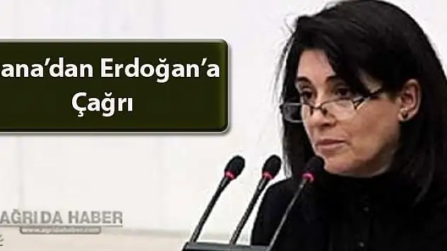 Zana'dan Erdoğan'a Çağrı: Acılarımızdan Birlikteliği Doğurmalıyız