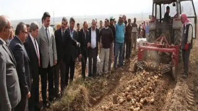 Vali Çınar, Ahlat'ta patates hasadına yardım etti