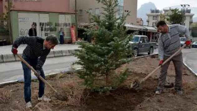 Hakkari'de ağaçlandırma çalışmaları devam ediyor