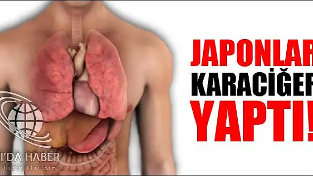 JAPONLARIN SON BULUŞU KARACİĞER