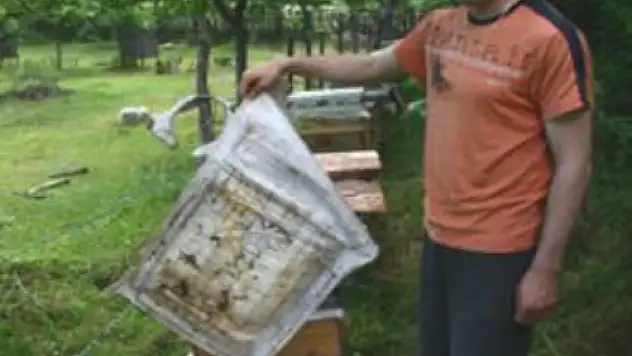Kültür ve Turizm Bakanlığı Araştırma ve Eğitim Genel Müdürü Arı Açıklaması