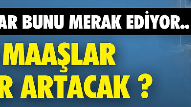 İşte 2016'da Maaşların Artış Oranları