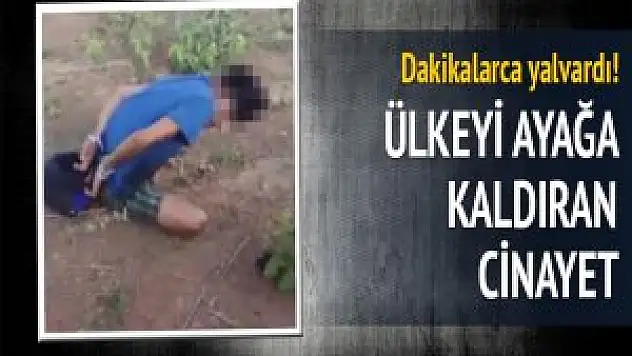 Brezilya'da kan donduran cinayet