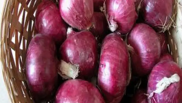 Kırmızı Soğan Bronşite Çok iyi Geliyor