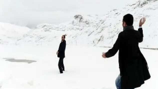 Van, Bitlis ve Hakkari'de kar yağışı etkili oldu