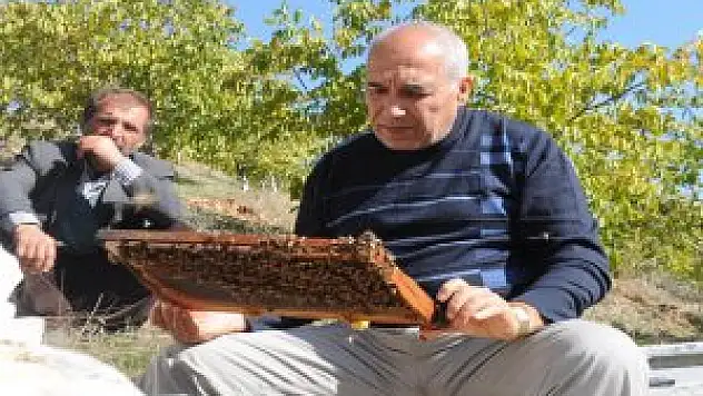 Hizan'da 'Arıcılığı Geliştirme' Projesi Başlatıldı