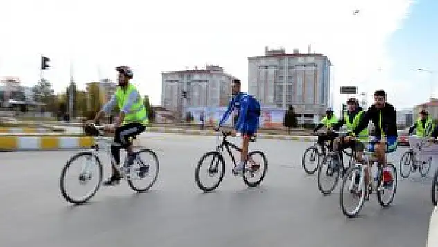 Van'da Dünya Diyabet Günü Etkinlikleri Yapıldı