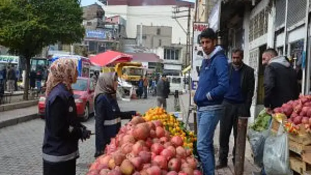 Van Erciş'in ilk kadın zabıtarı göreve başladı