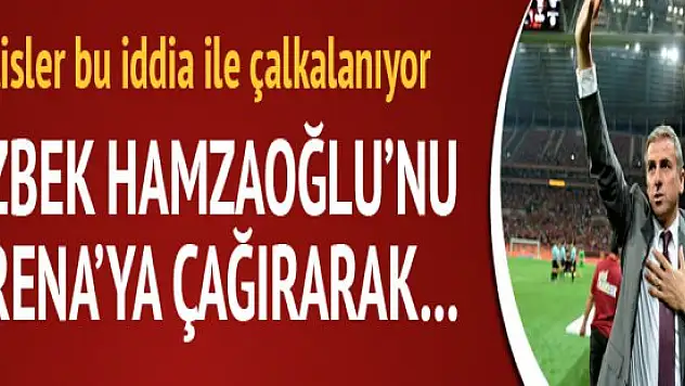 Hamzaoğlu ayrılığının nedeni!