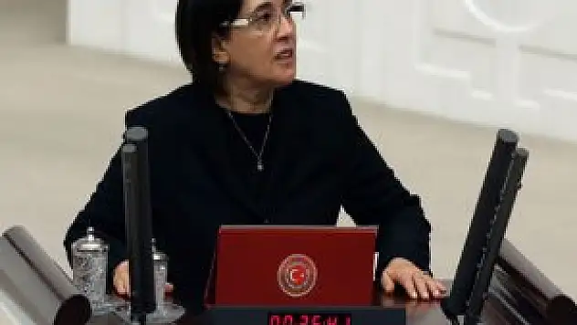 Leyla Zana HDP'de Krize Yol Açtı
