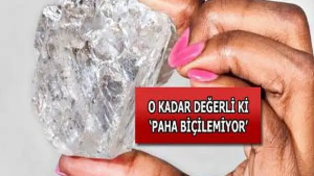 Dünyanın En büyük elması bulundu