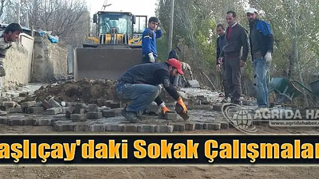 Taşlıçay İlçesinde Sokaklardaki Çalışmalar Sona Erdi