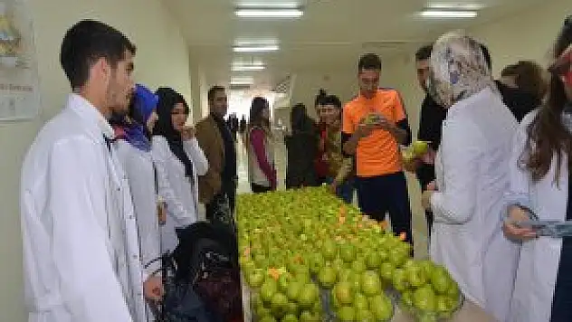 Ara öğün için 'yeşil elma verildi