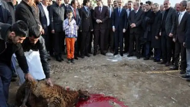 Karni Deresi Sosyal ve Kültürel Rekreasyon