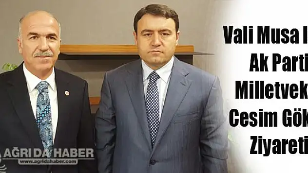 Vali Musa Işın Ak Parti Milletvekili Cesim Gökçe Ziyareti