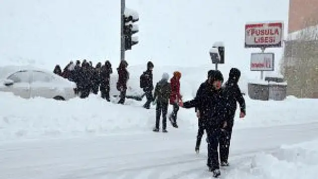 Bitlis'te kar yağışından dolayı okullar tatil edildi