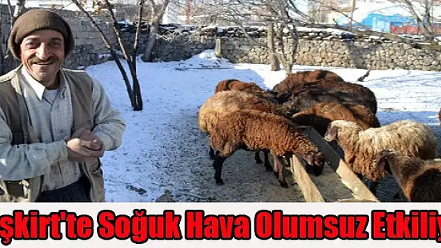 Eleşkirt'te Soğuk Hava Olumsuz Etkiliyor