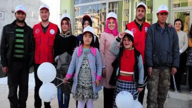 Bitlis'de Dünya Engelliler Günü