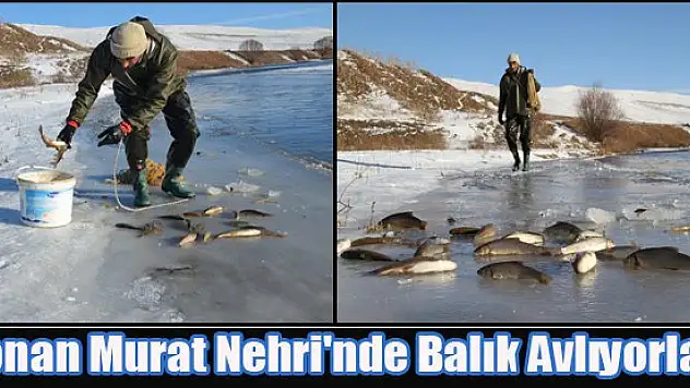 Donan Murat Nehri'nde Balık Avlıyorlar