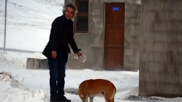 Bitlis Vatandaşların'dan duyarlı davranış