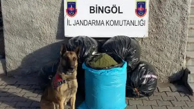 Bingöl'de 162 kilo 260 gram esrar