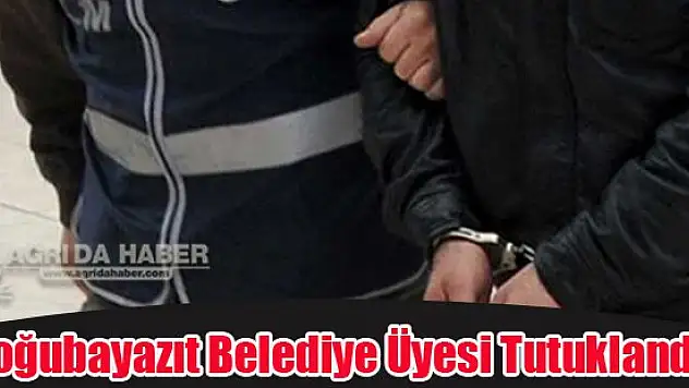 Doğubayazıt Belediye Üyesi Tutuklandı !