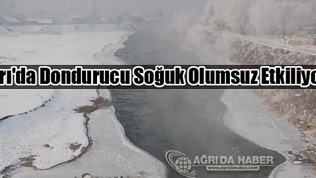 Ağrı'da Dondurucu Soğuk Olumsuz Etkiliyor !