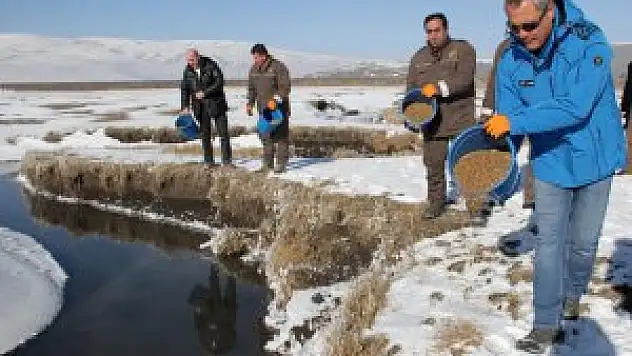 Ardahan'da yaban hayvanları için doğaya yem saçıldı